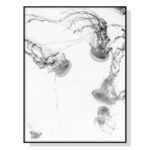 Jellyfish Black Frame Wall Art Canvas